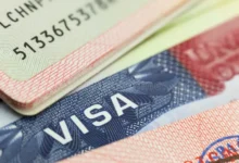 Job Requirements for Visa Holders